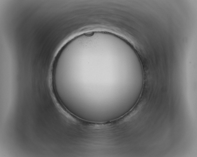 X0000112181518200908141315