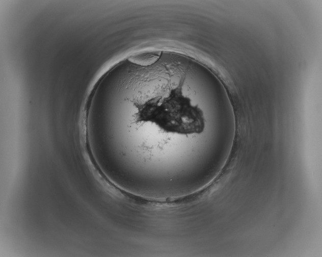 X0000112181522200908141315