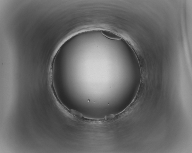 X0000112181524200908141315