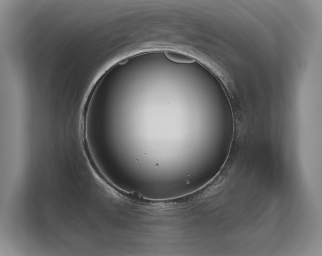 X0000112181527200908141315