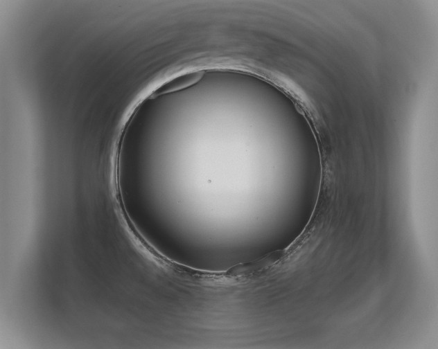 X0000112181528200908141315