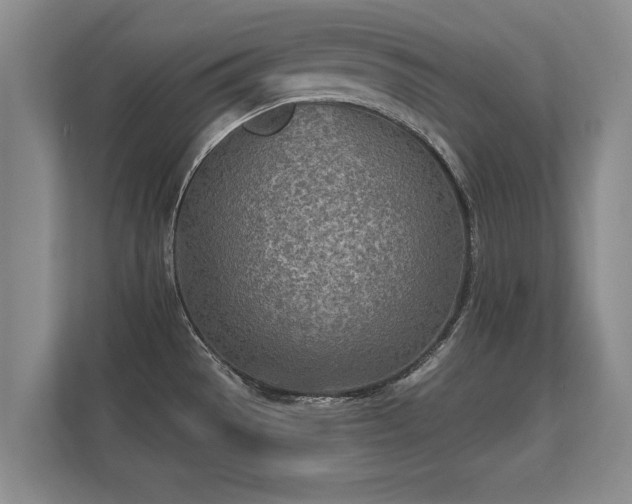 X0000112181529200908141315