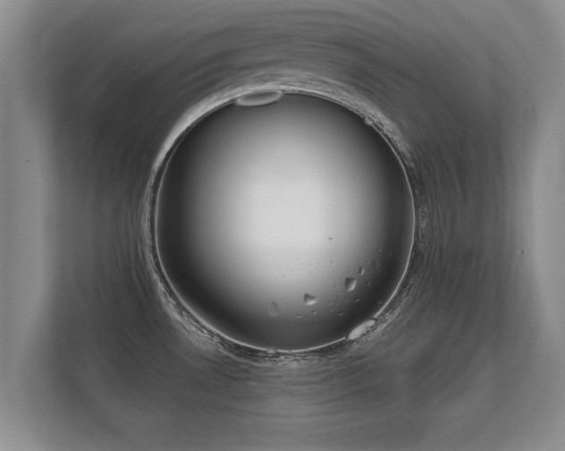 X0000112181530200908141315