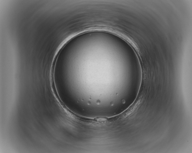 X0000112181533200908141315