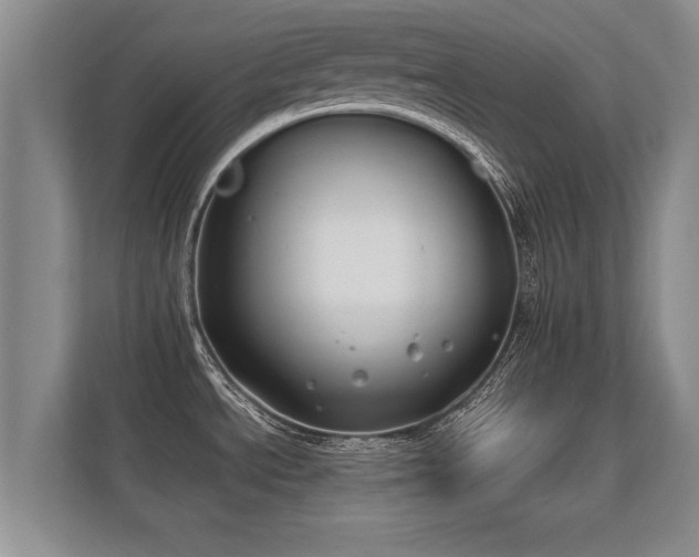 X0000112181534200908141315