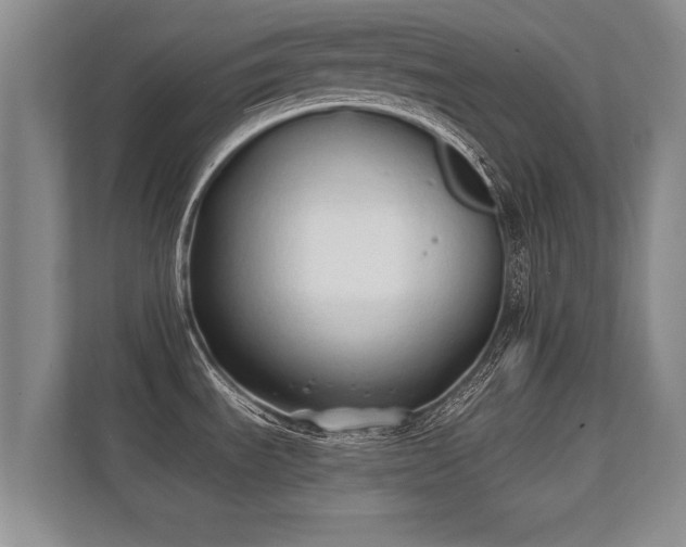 X0000112181535200908141316