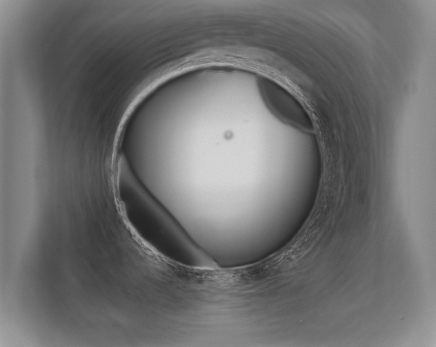 X0000112181536200908141316