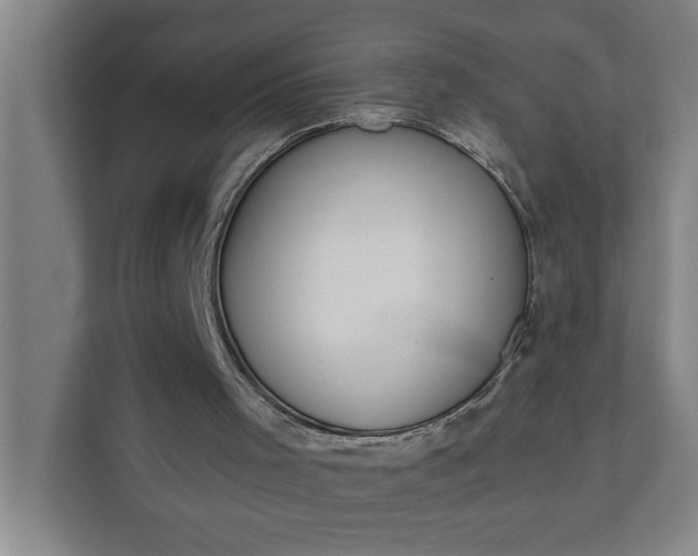 X0000112180001200908211509