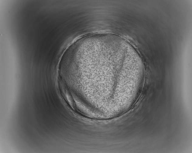 X0000112180002200908211509