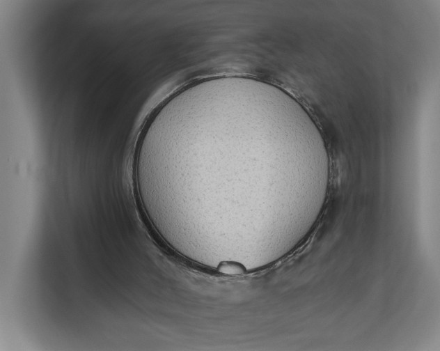 X0000112180004200908211509