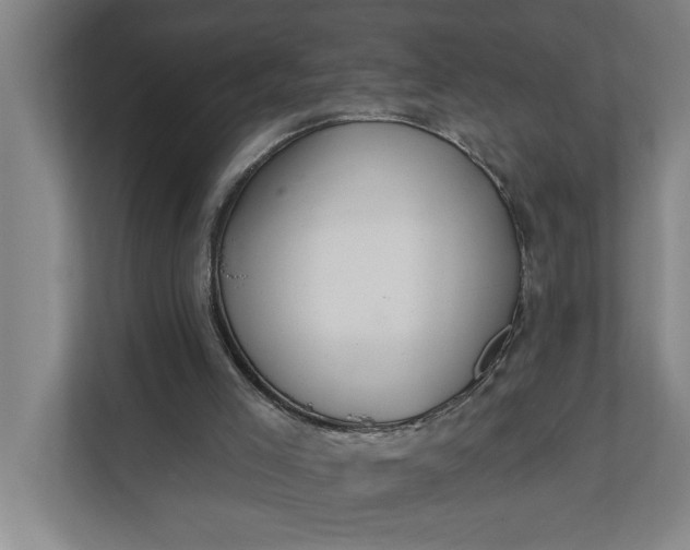 X0000112180005200908211509