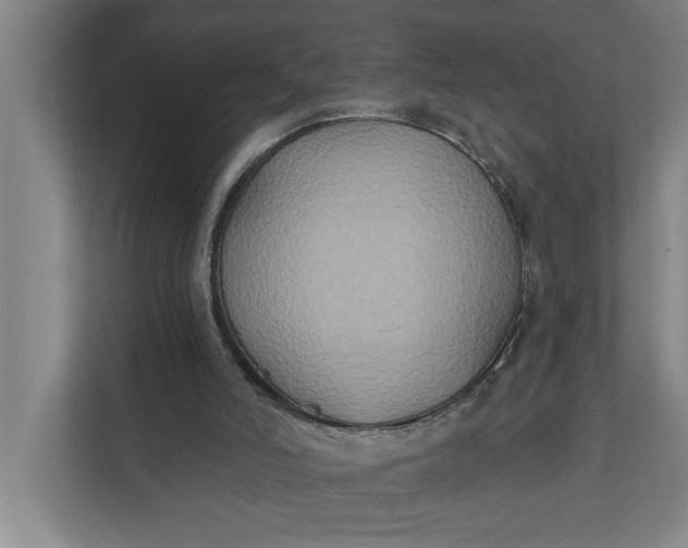 X0000112180006200908211509