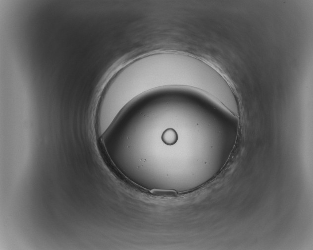 X0000112180007200908211509