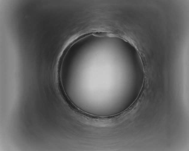 X0000112180008200908211509