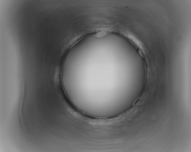 X0000112180009200908211509