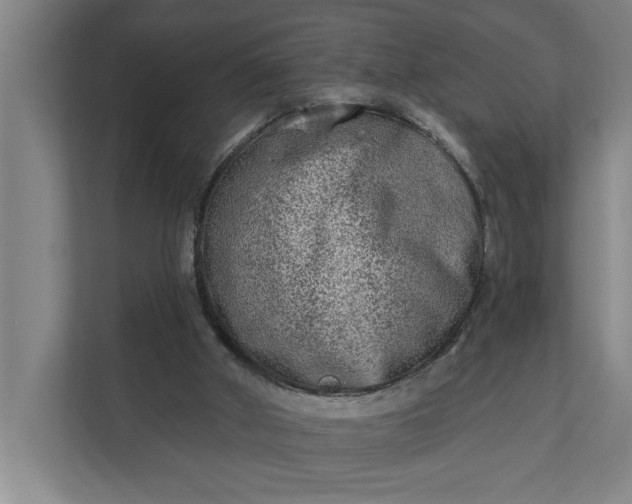 X0000112180010200908211509