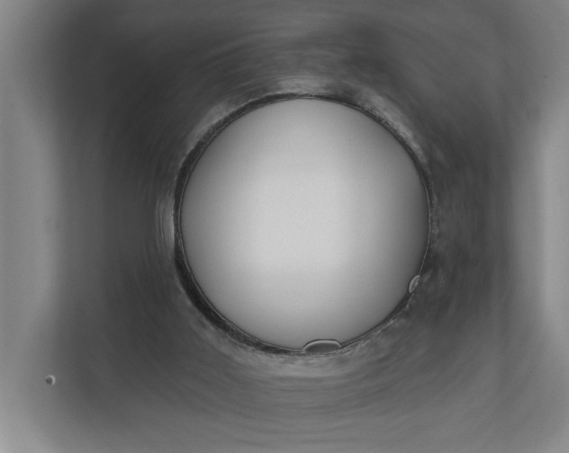 X0000112180011200908211509