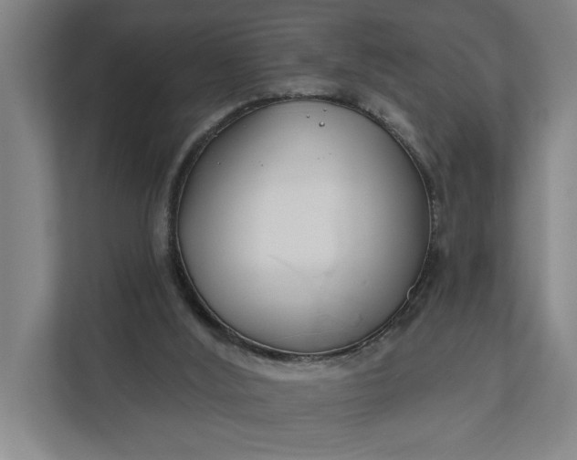 X0000112180012200908211509