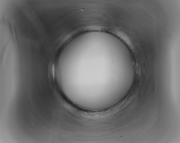 X0000112180013200908211509