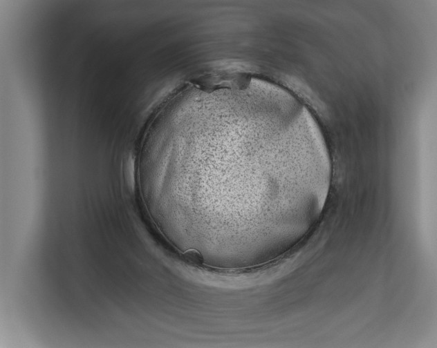 X0000112180014200908211509