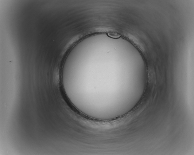 X0000112180015200908211509