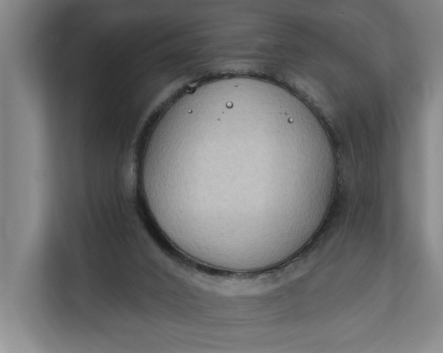 X0000112180016200908211509