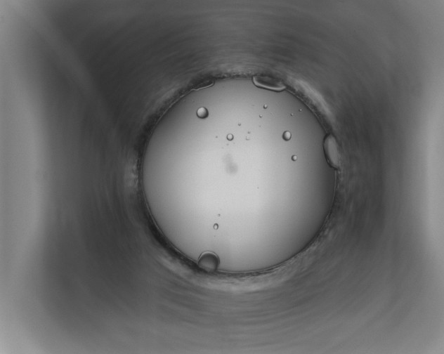 X0000112180017200908211509