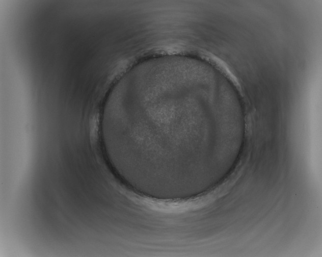 X0000112180018200908211509