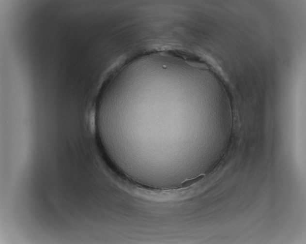 X0000112180019200908211509