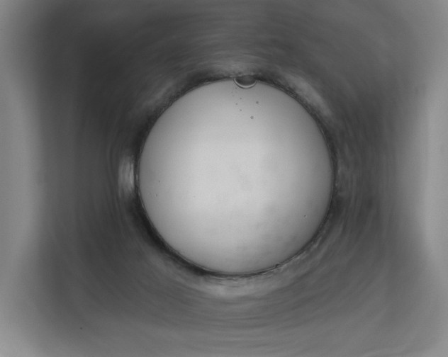 X0000112180021200908211509