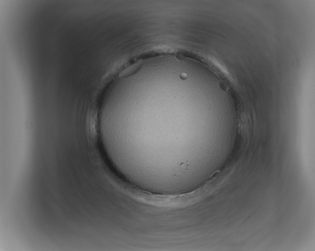 X0000112180023200908211509