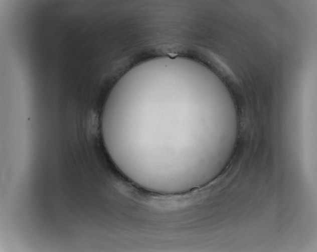 X0000112180025200908211509