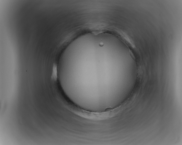 X0000112180027200908211509