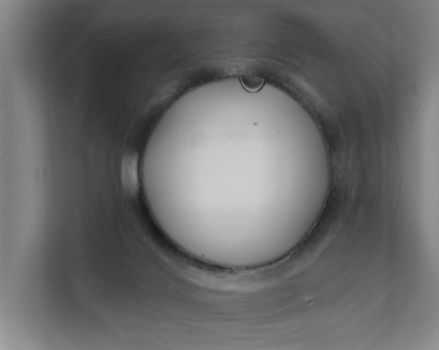 X0000112180028200908211509