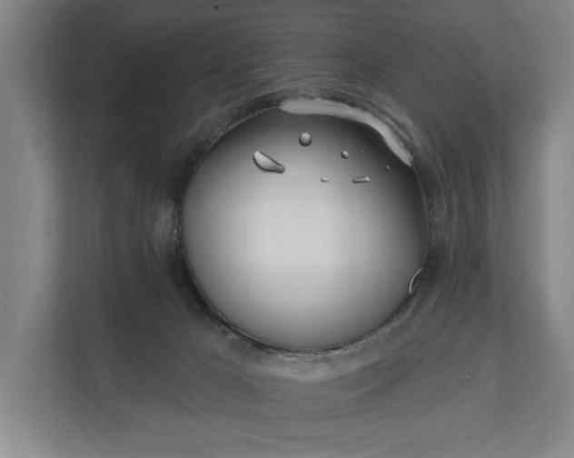 X0000112180029200908211509