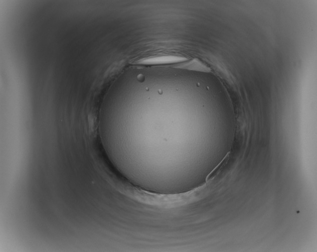 X0000112180031200908211509