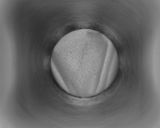 X0000112180034200908211509