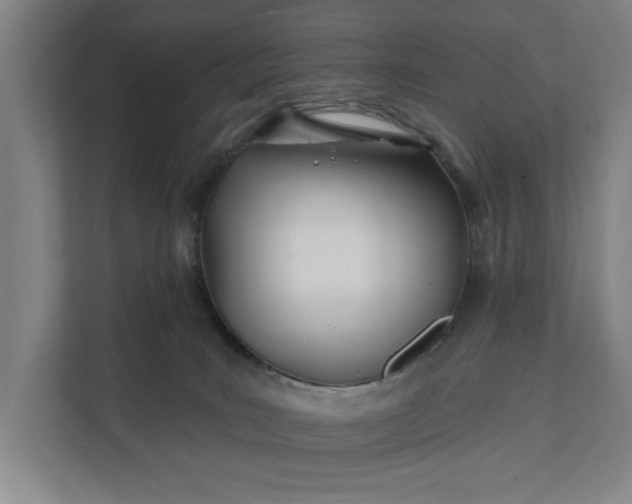 X0000112180035200908211509