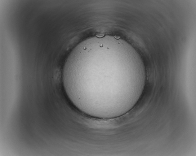 X0000112180036200908211509