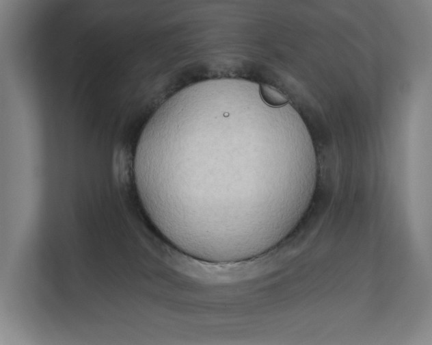 X0000112180038200908211509