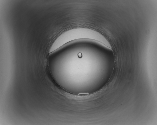 X0000112180039200908211509