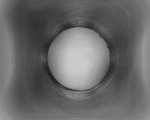 X0000112180040200908211509