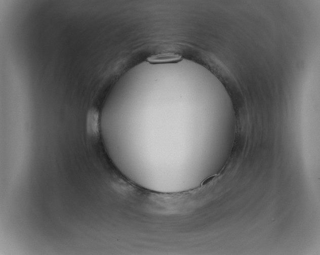 X0000112180041200908211509