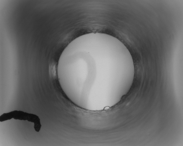 X0000112180042200908211509