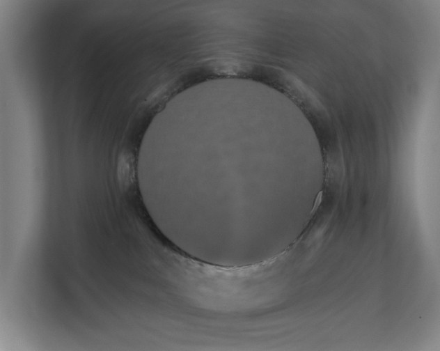 X0000112180043200908211509