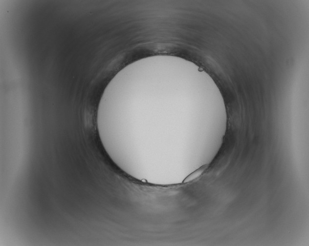 X0000112180044200908211509