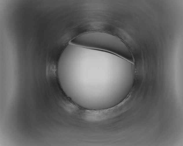 X0000112180045200908211509