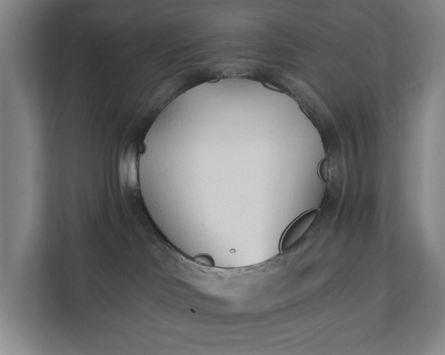 X0000112180046200908211509