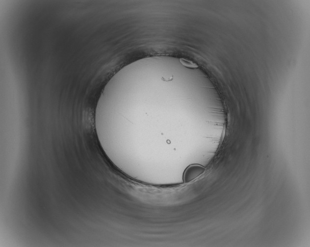 X0000112180048200908211509