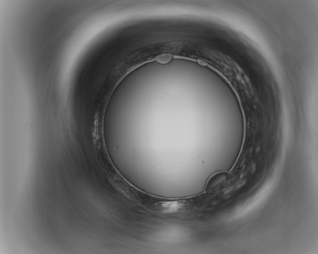 X0000112180050200908211508